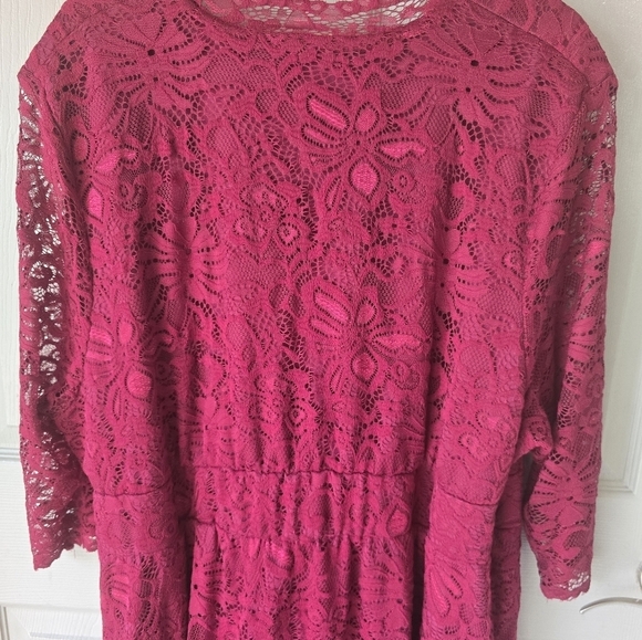 Kiyonna Women's Plus Pinot Noir Mademoiselle Lace Cocktail Dress Size 4X Red - Picture 15 of 15